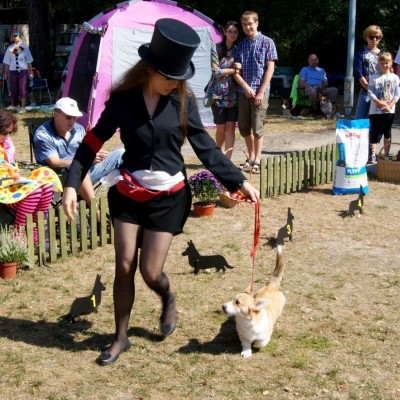 конференц-центр жилье для отдыха досуг в Польше Надажин Варшава